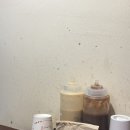 카릿토 | 기장 일본식 수제 돈카츠 맛집 &lt;카릿토&gt; 오리지널 로스카츠 후기