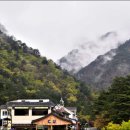 CU 동해무릉숲점 이미지