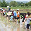 광주동초교충효분교 이미지