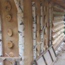 황토와소나무 이미지