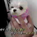 단비 이미지