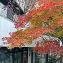 한양스포츠센터 상 | [한양 스포츠센터] 수영 4개월 수강 후기_개인, 단체 강습 비교, 가격 변경(2022.11)