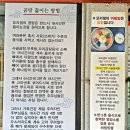 신정동맛집 요리샘의곰탕 진한 사골곰탕