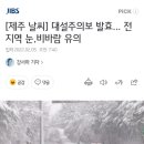 제주도 눈.... 결항되면 안돼야애애 이미지