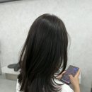 그레이헤어 - 고양시 덕양구 | 울산 남구 야음동 미용실 추천 헤어굿데이 애쉬그레이 염색 후기