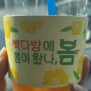 빽다방송정역점 네이버블로그