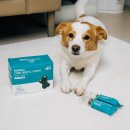 구강농장 | 강아지 영양제로 챙기는 치아 관리, 구강 유산균 덴탈껌