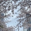 딱조아푸줏간 - 연수구 해돋이로172번길 42 | 딱조아푸줏간