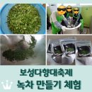 한국차박물관 | 보성다향대축제 &lt;차 만들기 체험&gt; 후기 / 덖음차 만들기