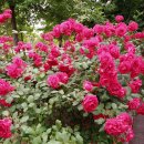 계양체육관 이미지