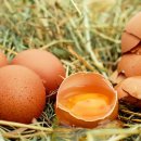 탑케어동물의료원 이미지