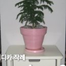 케논목장 이미지