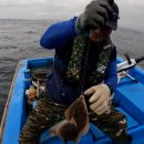 부부전파사 이미지