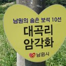 대곡리 암각화 이미지