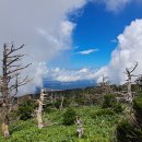 관음사 입구 이미지