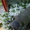 대촌축산 이미지