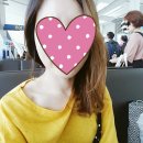 로찌 이미지