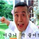 홍구가야