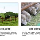 대관령밧데리 이미지