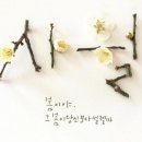 손짜장면을아시나요 네이버블로그