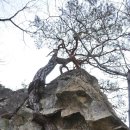 청수8로 이미지