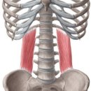 PT특별관 이미지