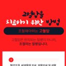신통내과의원 이미지