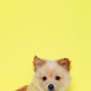 마린파크 동물병원 이미지