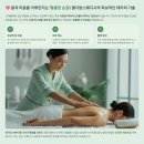 비키니스웨디시