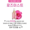 스파에코 화곡점