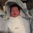 떠블유떠블유