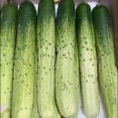 가락농장 이미지