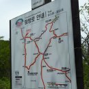 소백산 신선봉~민봉~적멸보궁~구인사 산행 이미지