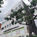 청량리명안마원 이미지