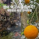 씨유 화성가재리점 | 화성 팔탄 부모님 모시고 재방문한 장어 맛집, 장수천 한방민물장어 후기