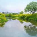 Mendelssohn Spring Song Op. 62 No. 6 / 멘델스존 무언가 중 "봄노래" 이미지