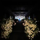 (주)현대그린푸드 블룸비스타점 | [WEDDING-VENUE #04] 더컨벤션 잠실 웨딩홀 투어후기 25년 상반기 견적공유O (계약 X)