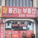 빙상장 횡단보도 이미지