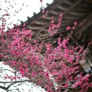 꽃편지길 이미지