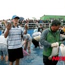 서천-16 이미지