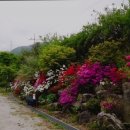 앤드퍼피 이미지