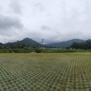 남해-184 이미지