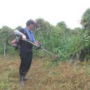 번호골농장 이미지