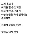 老산객 🌿섶의 행복한 여름 고민 이미지