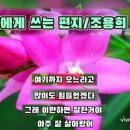 나에게 쓰는 편지 / 조용희 이미지