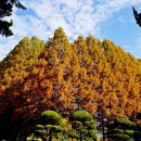 아가패정원한바퀴 ,25-11/16, 이미지