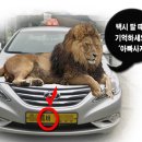 (자)시민택시 네이버블로그