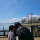 하호느티나무마을진입로 | 날씨 좋은 주말 남한강과 북한강이 만나는 두물머리 경치