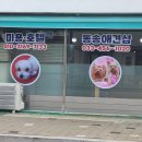 동송애견샵 이미지