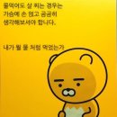 메가점핑 이미지